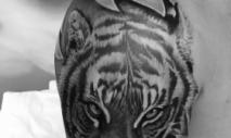 Татуировка дракон и тигр для мужчины значение